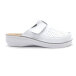 V263_WHITE