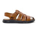 F67_BROWN