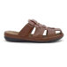 22033_BROWN