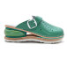KOA01_GREEN