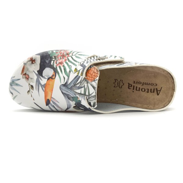 ANATOMISCHE CLOGS