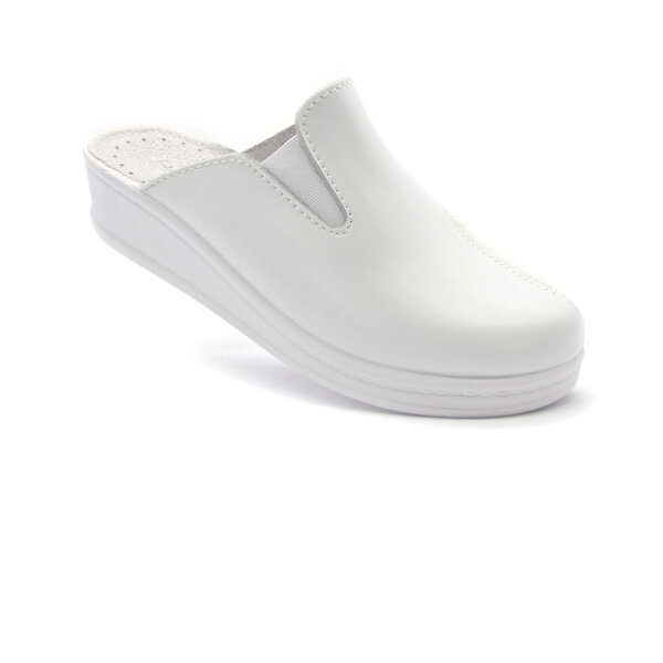 ANATOMISCHE CLOGS