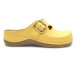 ANATOMISCHE CLOGS