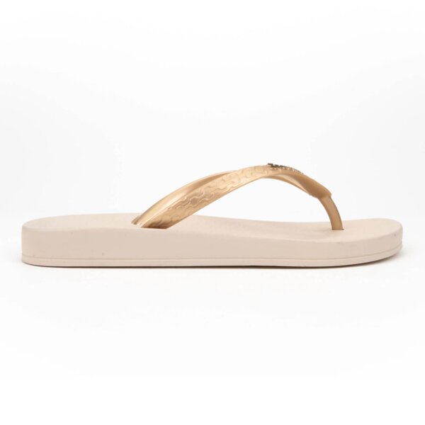 FLIP FLOPS ANATOMICA TAN FEM