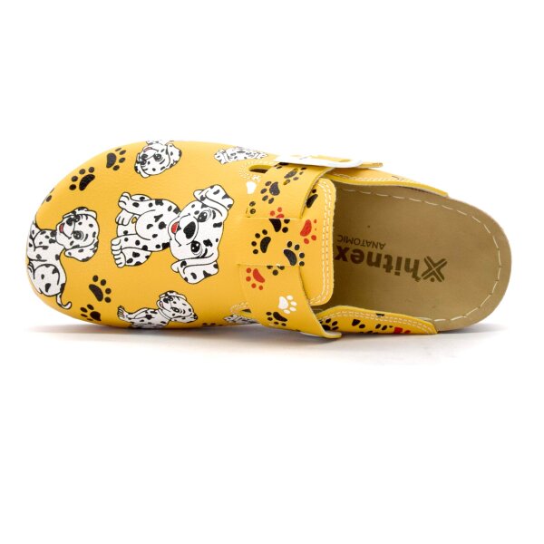 ANATOMISCHE CLOGS