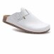 ANATOMISCHE CLOGS