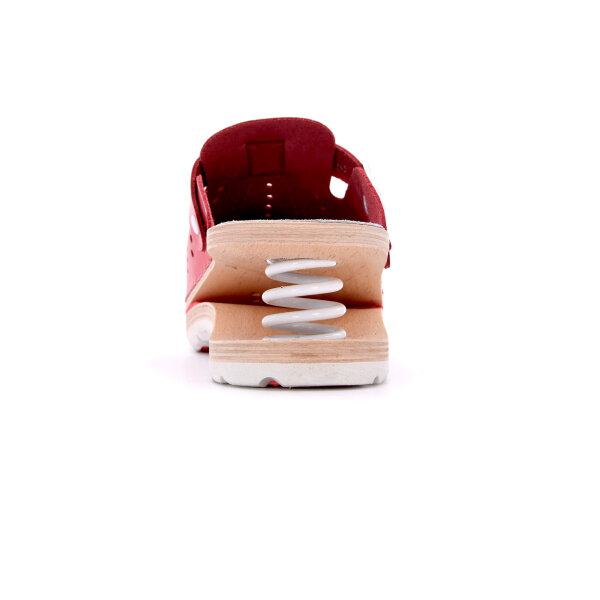 FEDER-CLOGS