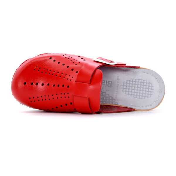 FEDER-CLOGS