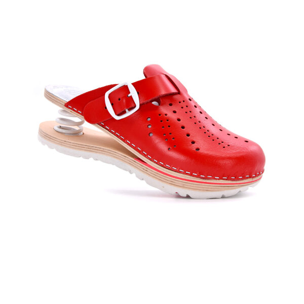 FEDER-CLOGS