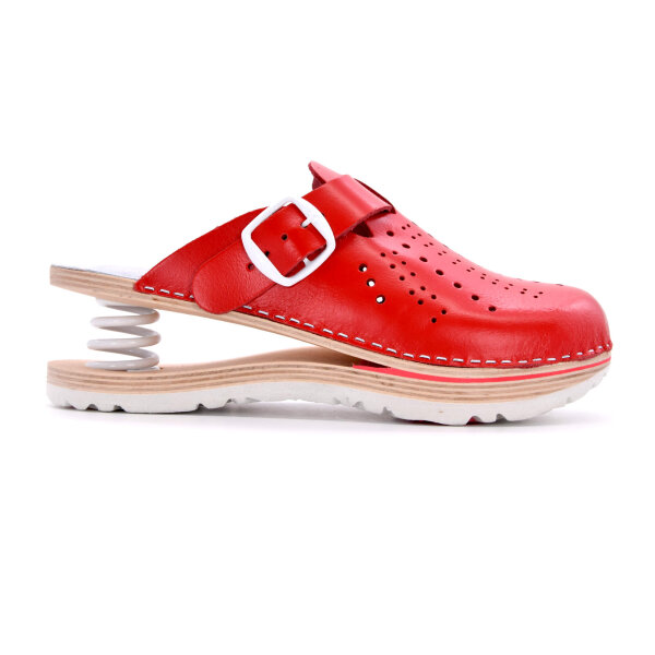 FEDER-CLOGS