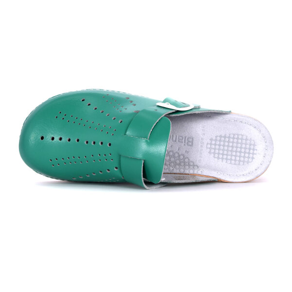 FEDER-CLOGS