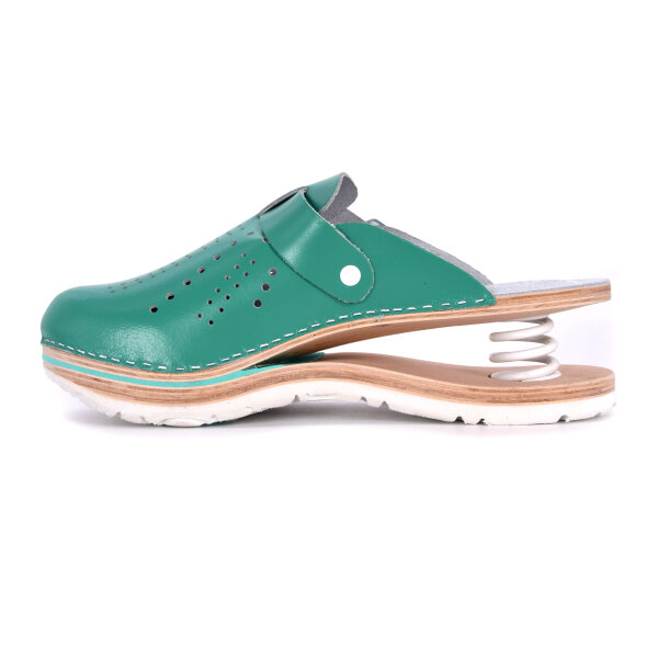FEDER-CLOGS