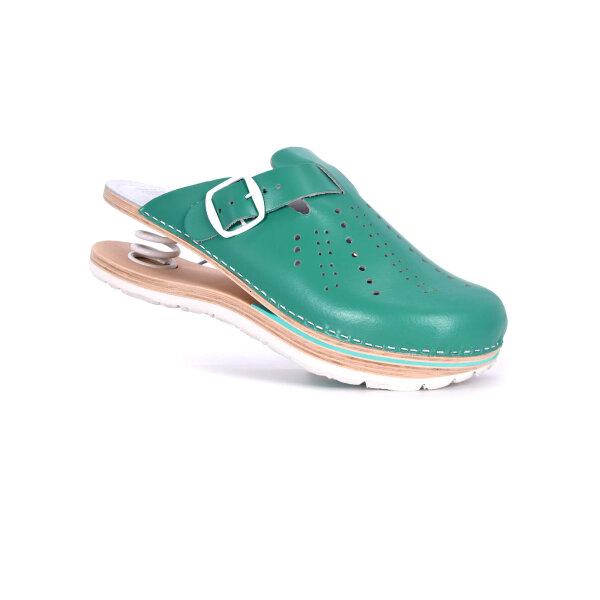 FEDER-CLOGS