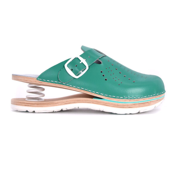 FEDER-CLOGS