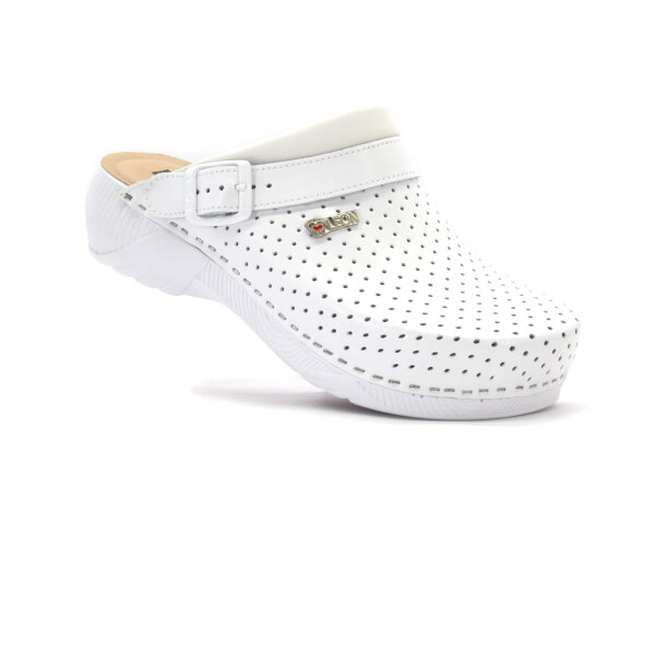 ANATOMISCHE LEDER-CLOGS
