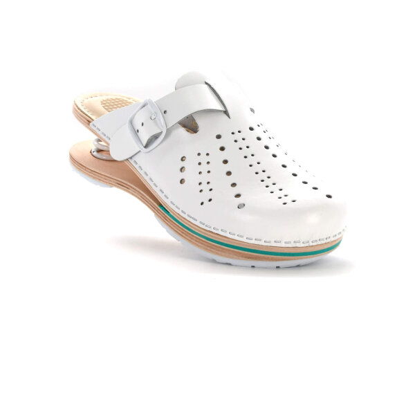 FEDER-CLOGS