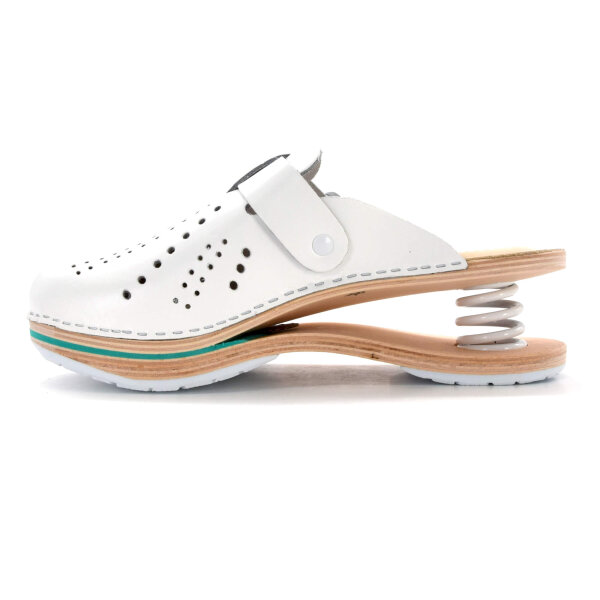 FEDER-CLOGS