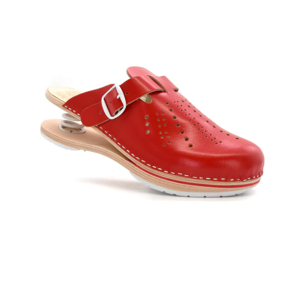 FEDER-CLOGS