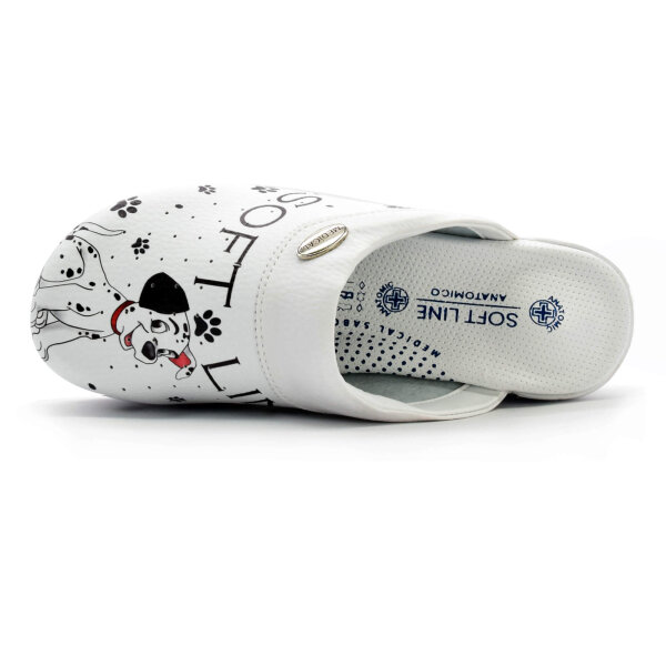 ANATOMISCHE CLOGS