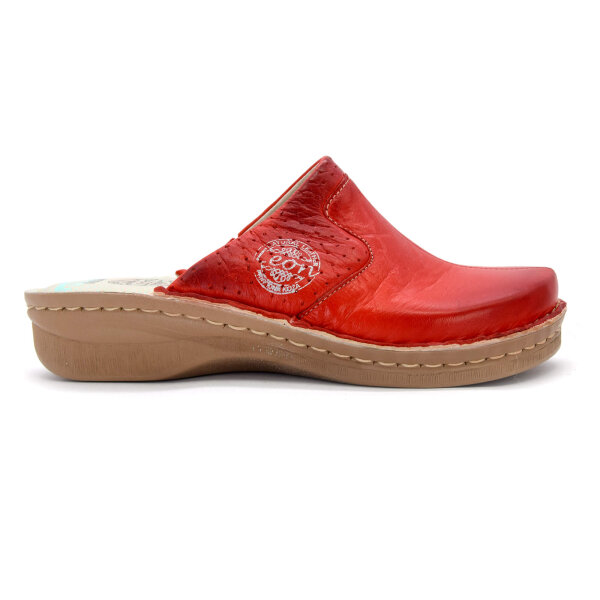 ANATOMISCHE LEDER CLOGS
